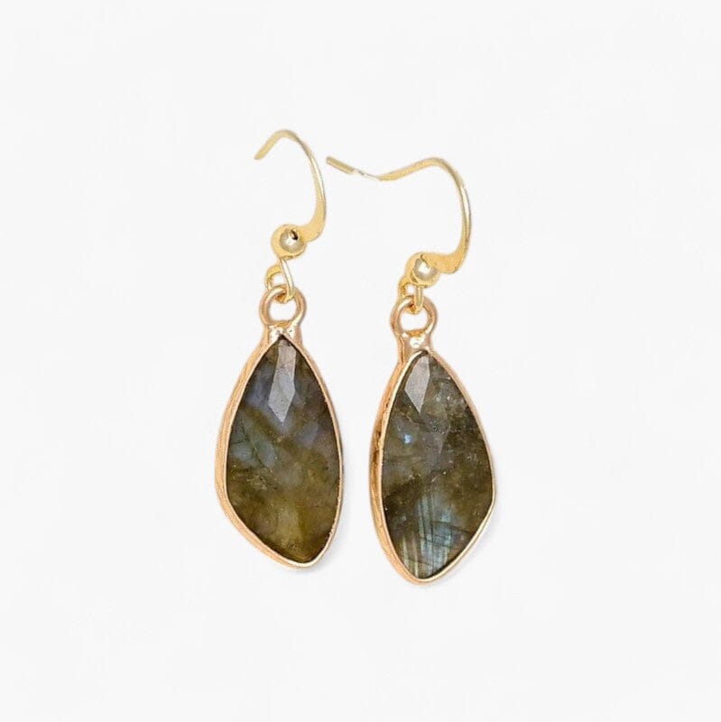 BETOVERENDE SCHOONHEID LABRADORIET OORBELLEN